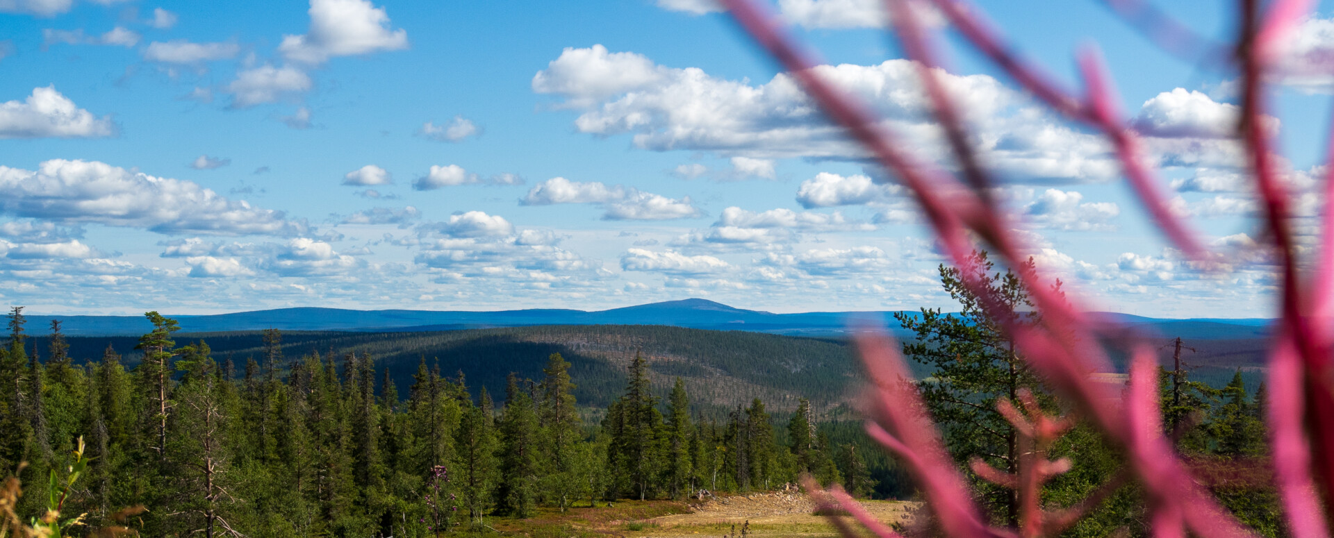 Palju - Elämyshuvilat